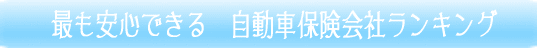 安心面から選ぶ　自動車保険会社ランキング