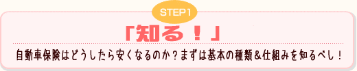 STEP1 自動車保険はどうしたら安くなるのか