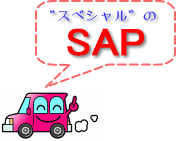 自動車保険の基本SAP