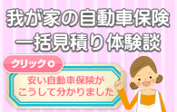 自動車保険がこうして安くなった！一括見積り体験談