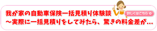 我が家の自動車保険一括見積り体験談